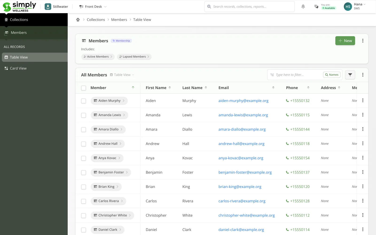 Client records in Simply Wellness — intake, plans, and status in a live table.